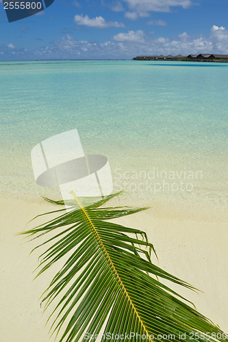 Image of tropical beach