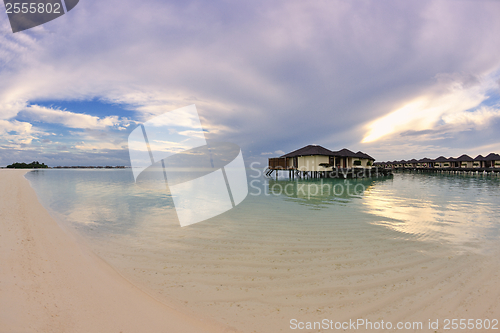 Image of tropical beach