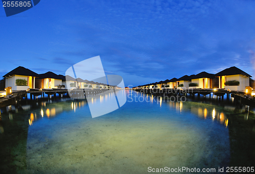 Image of tropical beach