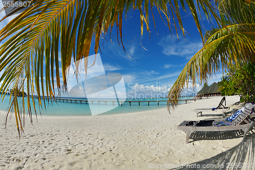 Image of tropical beach