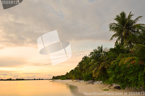 Image of tropical beach