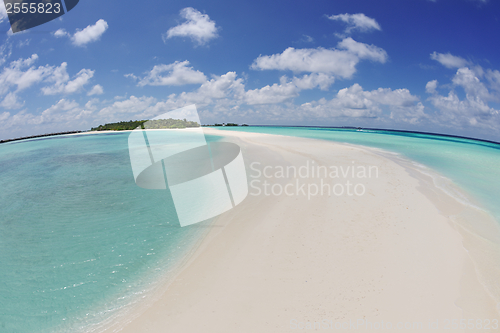 Image of tropical beach