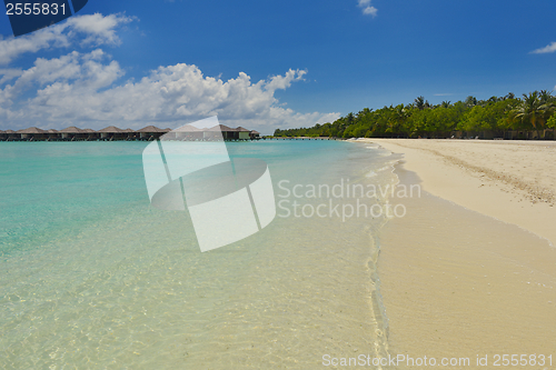 Image of tropical beach