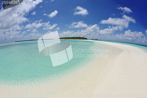 Image of tropical beach