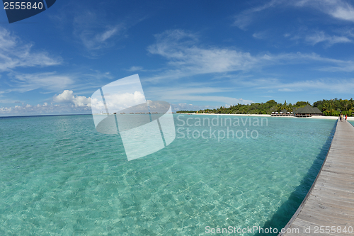 Image of tropical beach