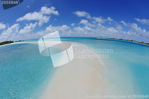 Image of tropical beach