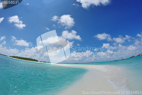 Image of tropical beach