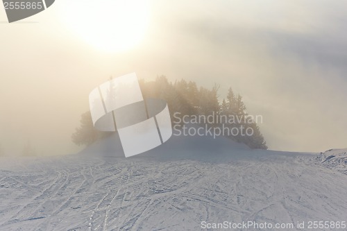 Image of Winter Landscape