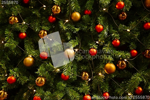 Image of Christmas Tree