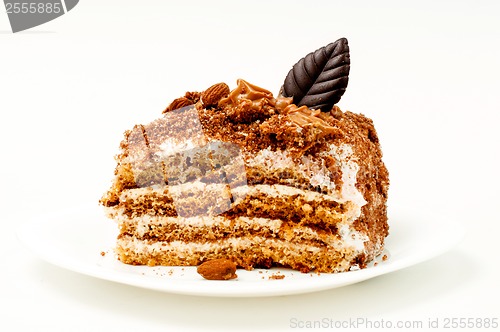 Image of piece of delicious chocolate cake isolated