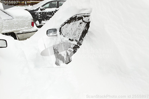 Image of Cars Covered with Snow