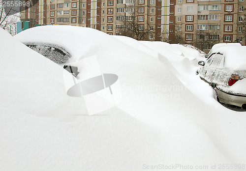 Image of Cars Covered with Snow