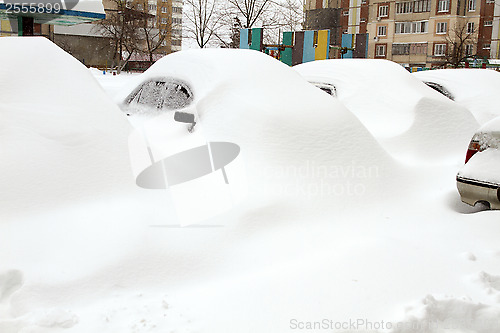 Image of Cars Covered with Snow