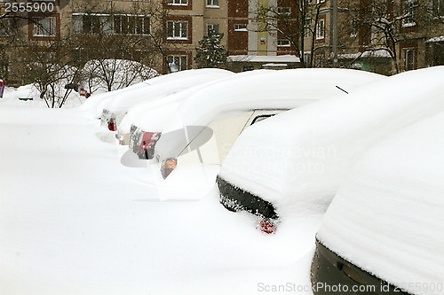 Image of Cars Covered with Snow