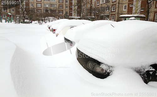 Image of Cars Covered with Snow