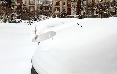 Image of Cars Covered with Snow