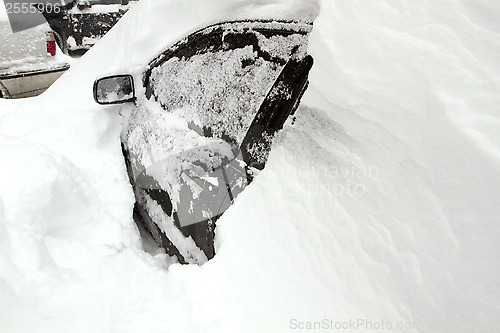 Image of Cars Covered with Snow