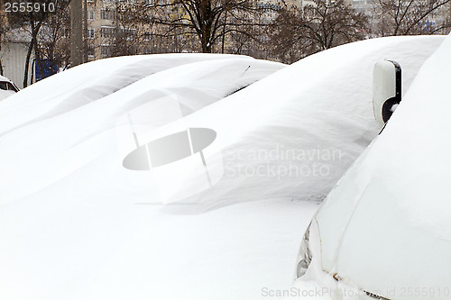 Image of Cars Covered with Snow