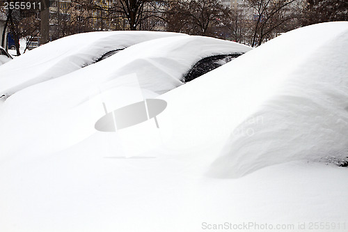 Image of Cars Covered with Snow