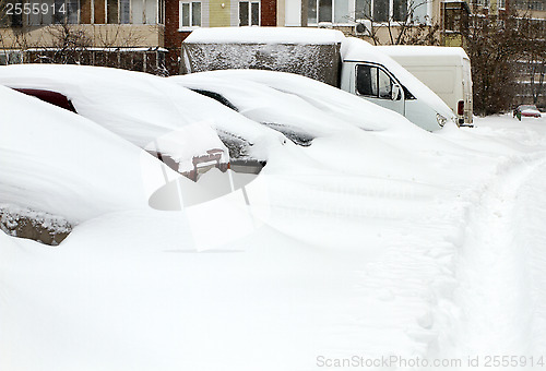 Image of Cars Covered with Snow
