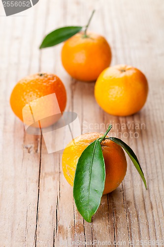 Image of tangerines with leaves