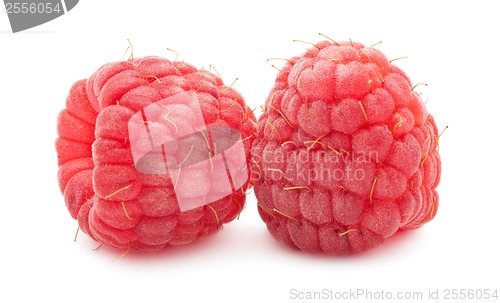 Image of Fresh raspberries