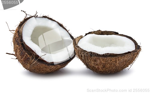 Image of Coconut