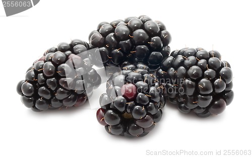 Image of Blackberry