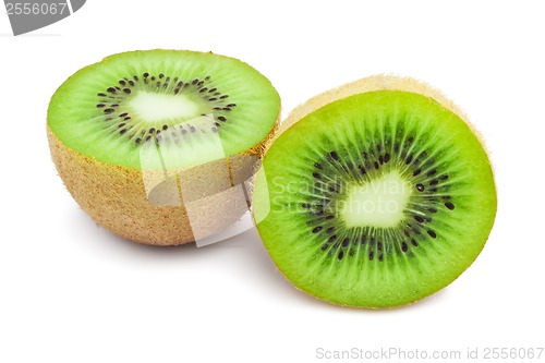 Image of Kiwi