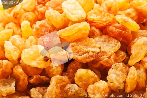 Image of Raisins