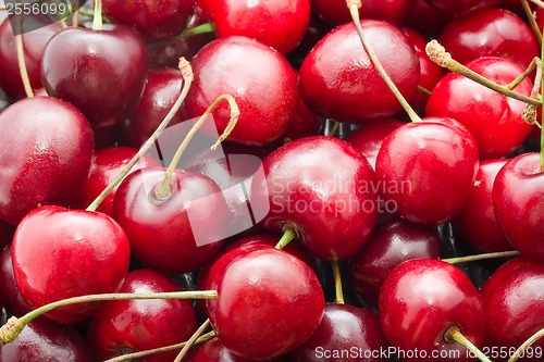 Image of Red cherry