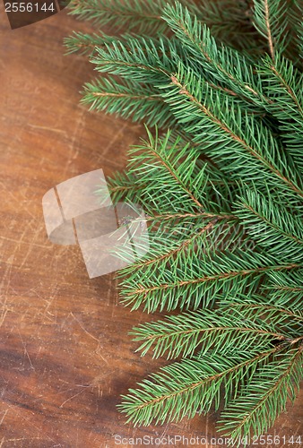 Image of frame from branch of Christmas tree on old wood