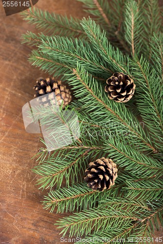 Image of frame from branch of Christmas tree on old wood