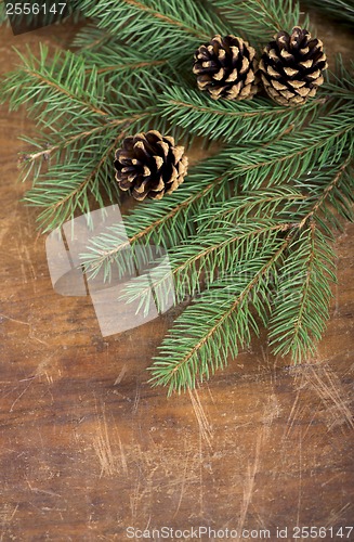 Image of frame from branch of Christmas tree on old wood