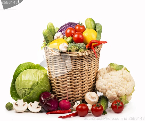 Image of Healthy Organic Vegetables