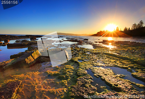 Image of Golden Sunrays stretch across the reefs at sunset