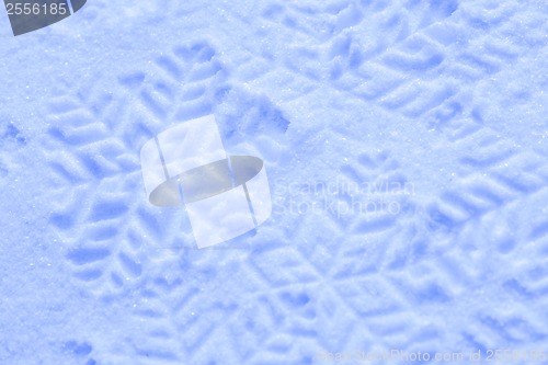 Image of Snowflake on the snow.