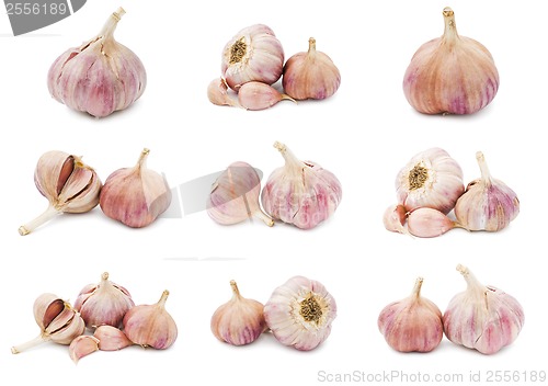 Image of Garlic