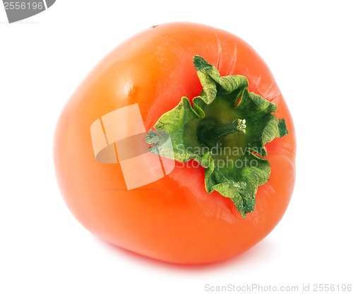 Image of Persimmon