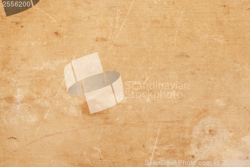 Image of Canvas background