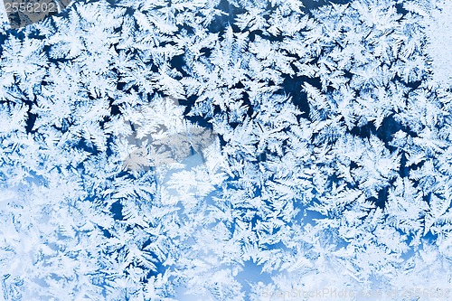 Image of Frost pattern