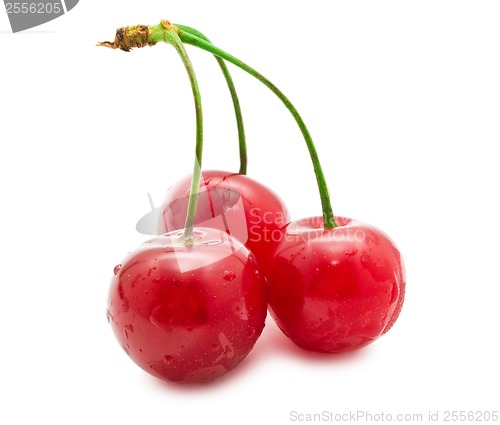Image of Red cherry