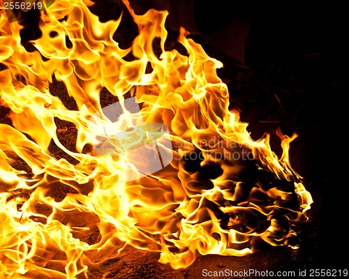 Image of Fire