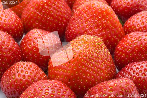 Image of Strawberries
