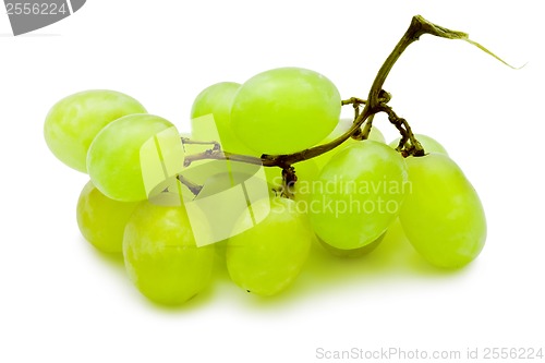 Image of Grapes
