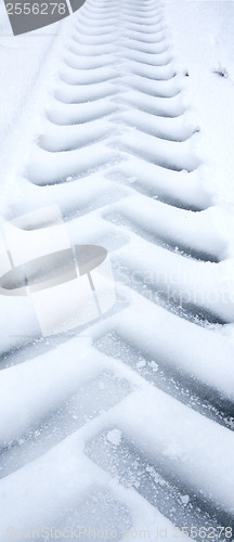 Image of Tire track in snow