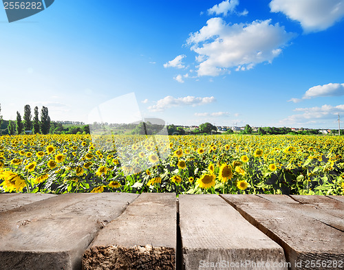 Image of Wooden table and field of sunflowers
