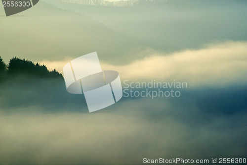 Image of landscape in high fog