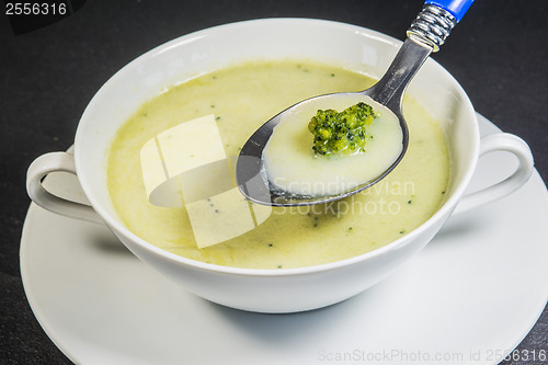 Image of Broccoli cream soup