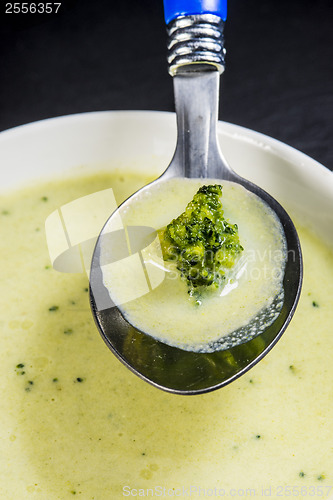 Image of Broccoli cream soup